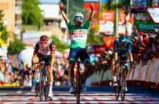 Roglic crashes in Vuelta sprint gamble as Pedersen wins stage
