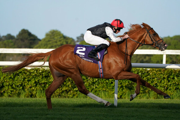 Kyprios makes class count in Irish St Leger - Vimarsana News
