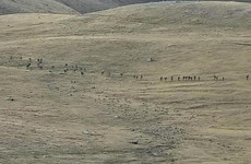 Almost 100 troops reported killed in fierce Armenia-Azerbaijan border clash