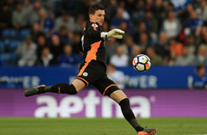 Everton sign former Leicester goalkeeper Eldin Jakupovic on short-term contract