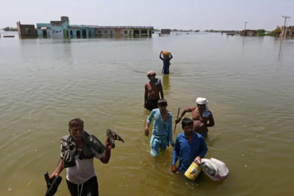 Humanity 'heading into uncharted territory of destruction' due to climate change, says UN - Vimarsana News