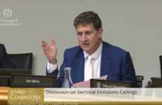 Any sector could be asked to cut emissions further to absorb unallocated reductions - minister