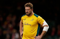 Wallabies out to avoid 'world of hurt' against All Blacks