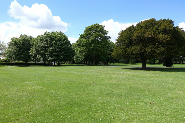 Poll: How often do you visit your local park? - Vimarsana News