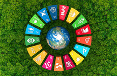 Sustainable Development Goals and how you can easily make a positive impact