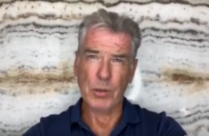 Pierce Brosnan joins 'Save the Boyne' campaign against wastewater dumping in river