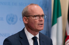 NI Protocol debacle can't be allowed to become 'huge headache' for farmers - Coveney