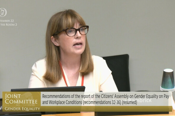 Paid domestic violence leave should be based on an 'honour system', Oireachtas committee hears - Vimarsana News