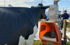 'It's hard to imagine the future': The Ploughing, the climate crisis, and the writing on the wall