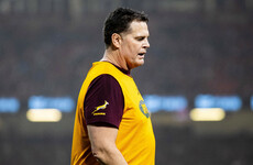 Rassie Erasmus set for Springboks return as ban comes to an end