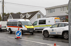 Woman and young girl both in critical condition after being found injured in Co Clare house