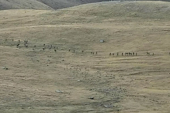Three Armenians killed as fresh clashes break out with Azerbaijan at border - Vimarsana News