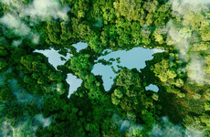 Opinion: This planet is not one we 'own' - it's a resource we share