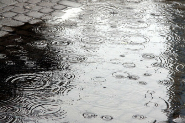 Blustery and wet week ahead with possible rainfall warnings - Vimarsana News