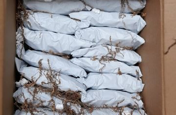 Man arrested after herbal cannabis worth €226,000 seized in north Dublin