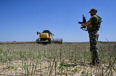 Irish diplomat: Global supply and 'skyrocketing' fertiliser costs a key driver of world hunger