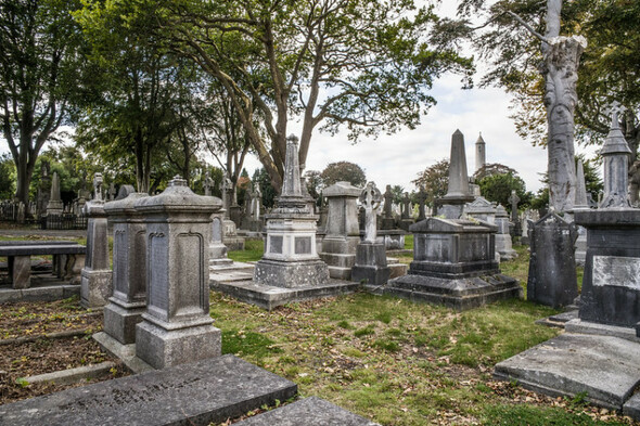 Dead Interesting: Ireland's spooky and spectacular graveyards - Vimarsana News