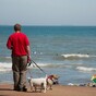 Poll: Should more dog waste bins be installed around the country?