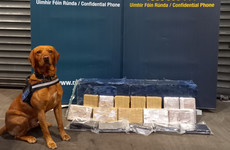 Two people arrested as €1.26 million worth of cocaine seized as vehicle searched at Dublin Port