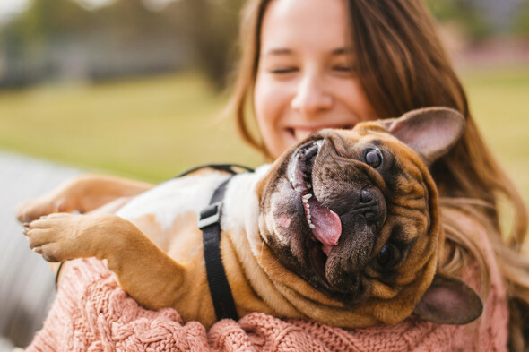 The majority of people don't have their pets insured, here's why you should! - Vimarsana News