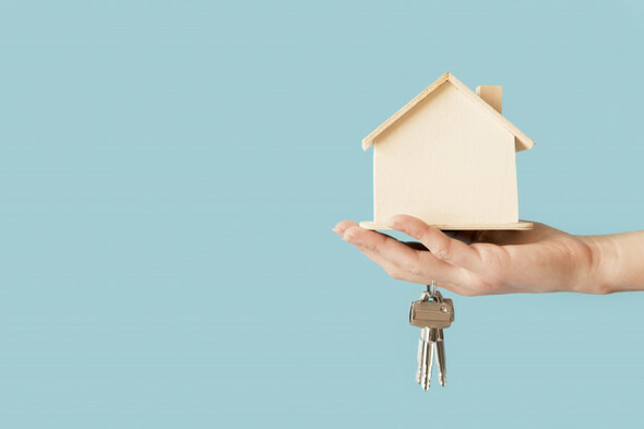 An agent tells house sellers the key ingredient to a great sale - ask for the Daft Advantage - Vimarsana News