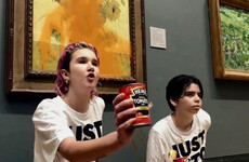 John Gibbons: If you're offended by soup thrown on a painting then you're missing the point