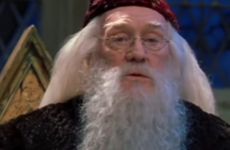 Richard Harris’s legacy to be preserved in new archive exhibition in Cork