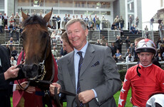 Rock of Gibraltar - the racehorse at the centre of Old Trafford split - has died