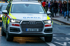 Gardai appeal for witnesses to assault that hospitalised man for two weeks