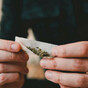 Germany agrees plan to legalise recreational cannabis