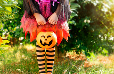 Poll: Are you going trick or treating tonight?
