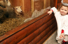 Scrapping of Mansion House live crib a 'progressive step', says animal rights group