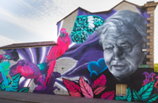 Art collective seek legal costs after halted prosecution over street murals