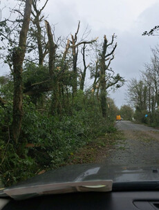 Suspected 'tornado' hits Co Wexford amid wind warning for some coastal counties