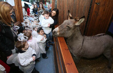 Call for 'common sense' to prevail in row over Dublin’s live animal crib
