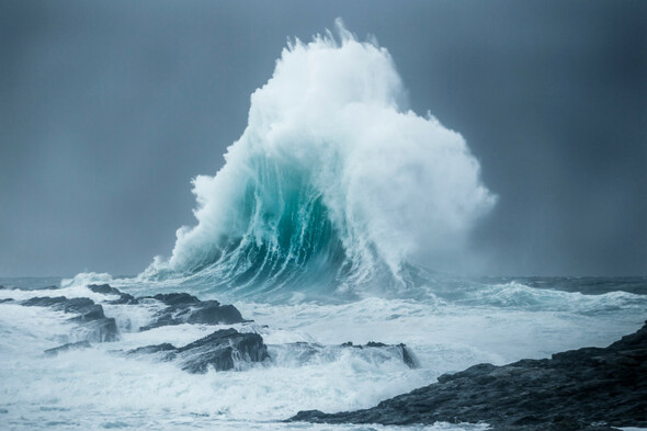 The winning photographs from this year's Love Your Coast competition - Vimarsana News