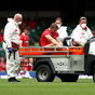 Double blow for Wales as Leigh Halfpenny and Tommy Reffell ruled out of Argentina clash