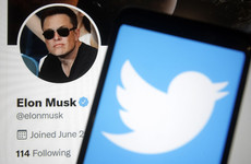 'He's in for a block wall': Elon Musk must follow new EU online safety rules after Twitter sale