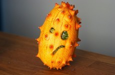 Investigation called for into rejection of 'ugly fruit'