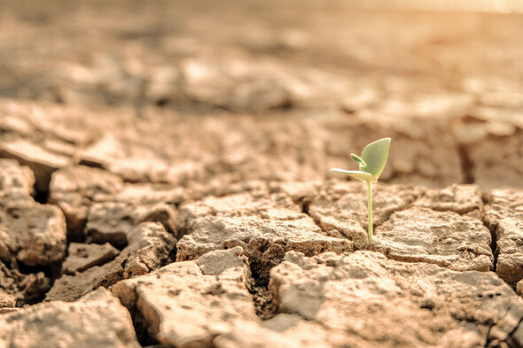 The Truth about Climate Anxiety: We talk to an expert to find out more - Vimarsana News