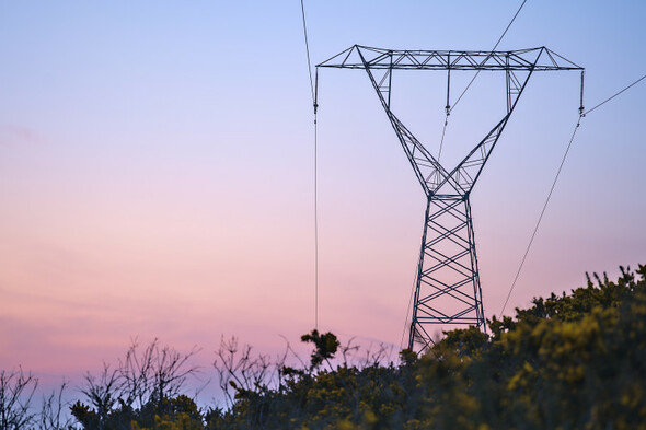 Cabinet expected to sign off on windfall tax on electricity companies - Vimarsana News