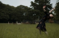 Nutshell review: Dogs