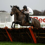 Constitution Hill set for Newcastle showdown this Saturday