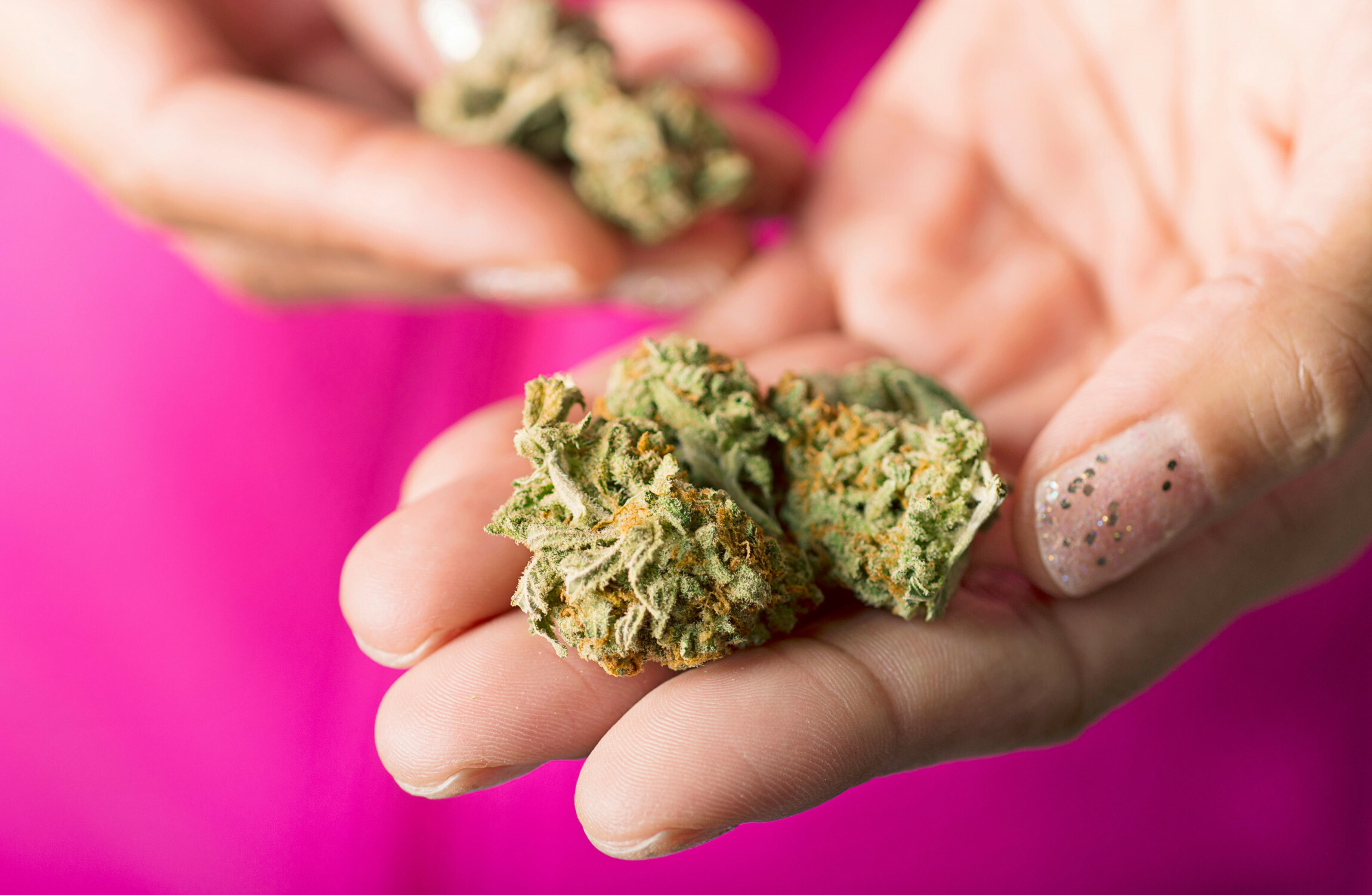 Gino Kenny: It's time to decriminalise the possession of cannabis for personal use