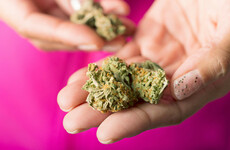 Gino Kenny: It's time to decriminalise the possession of cannabis for personal use