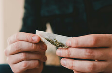 Poll: Should the possession of cannabis for personal use be decriminalised?