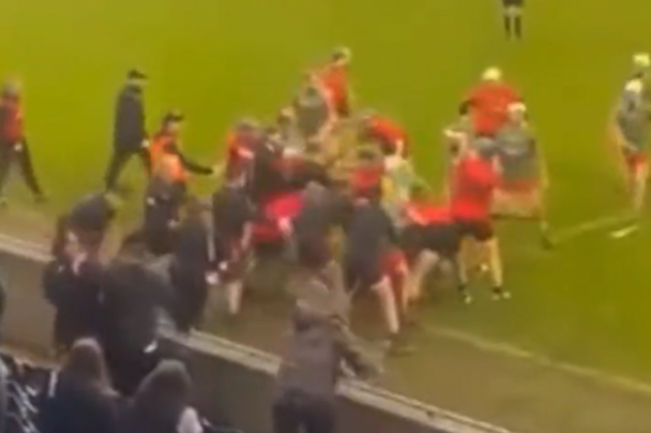 Leinster GAA issue suspensions following brawl at intermediate club hurling game - Vimarsana News