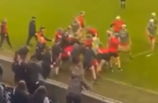 Leinster GAA issue suspensions following brawl at intermediate club hurling game