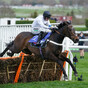 Constitution Hill maintains perfect form at Newcastle as Le Milos clinches Newbury Gold