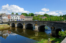 Child undergoing treatment for 'serious injuries' following alleged dog attack in Co Wexford